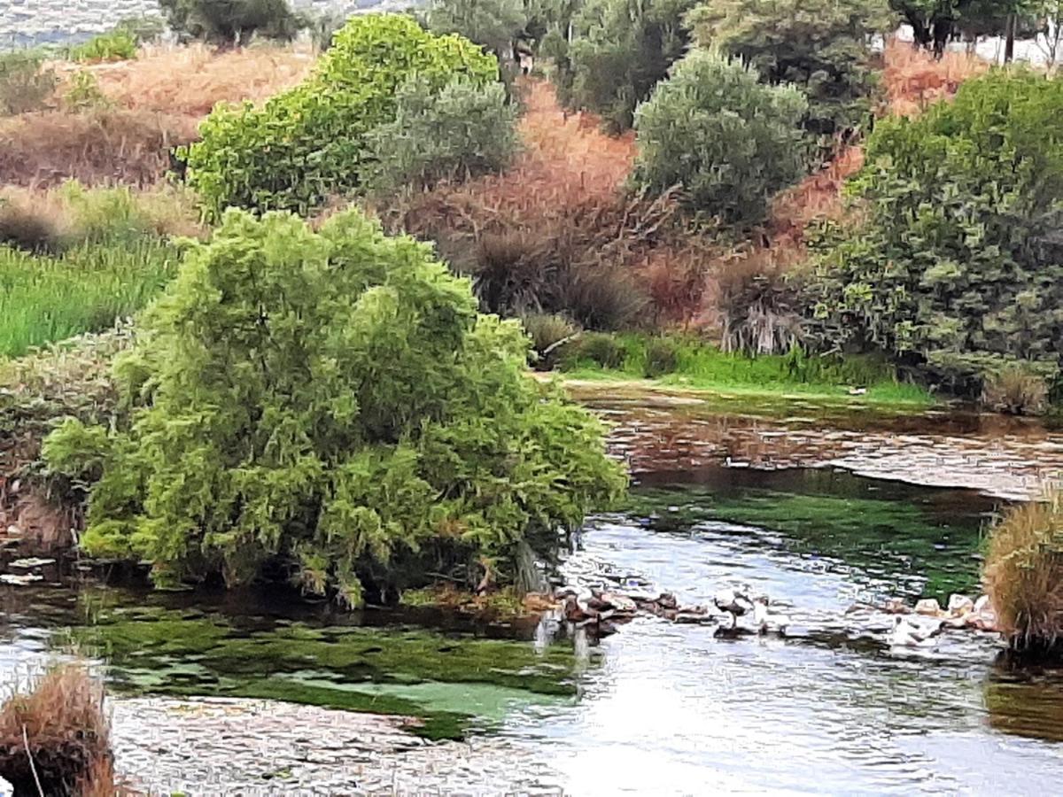 Aloe Villa Chania Crete Georgioupoli Dış mekan fotoğraf