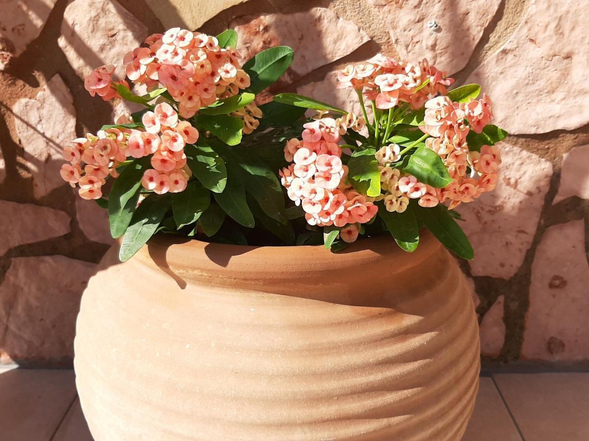 Aloe Villa Chania Crete Georgioupoli Dış mekan fotoğraf