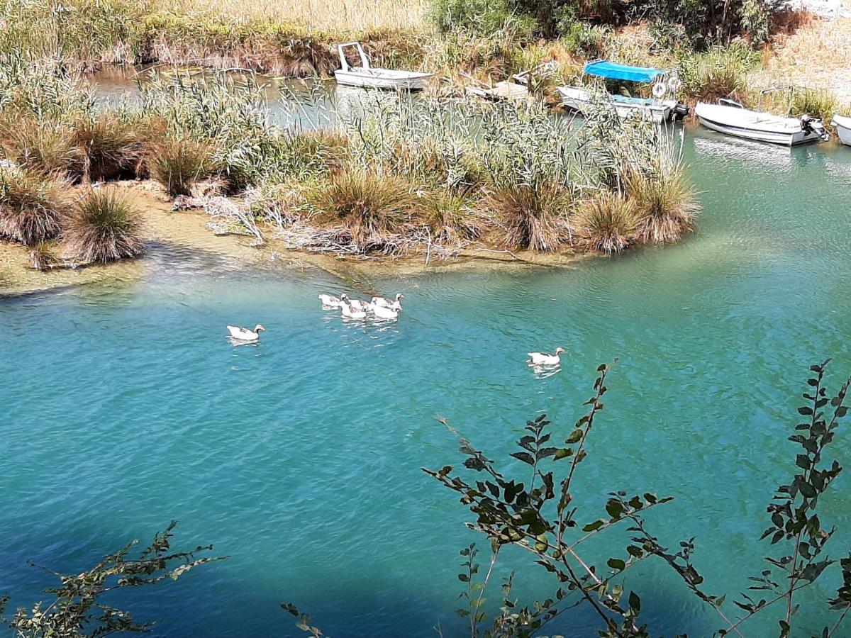 Aloe Villa Chania Crete Georgioupoli Dış mekan fotoğraf